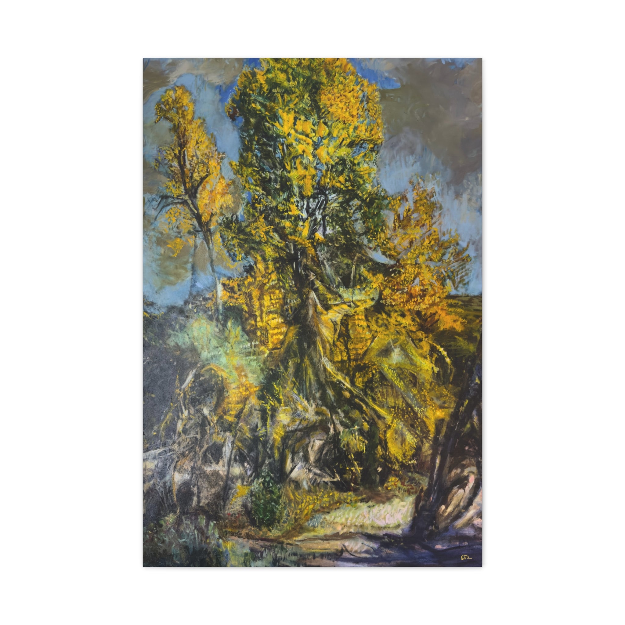 Abiquiú Cottonwood - Fine Art