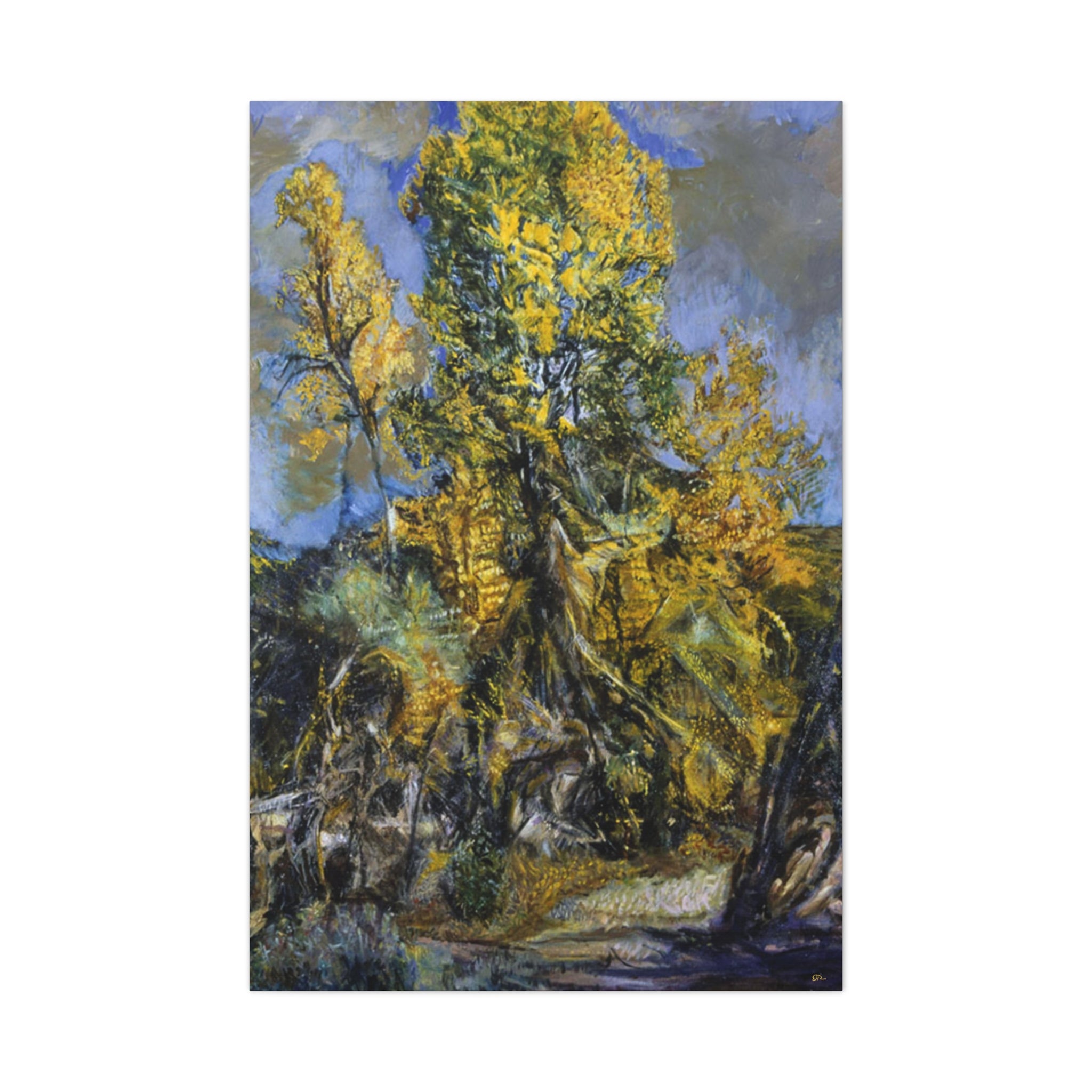 Abiquiú  Cottonwood - Fine Art